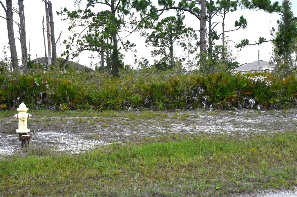 Property for sale at 16 COXSWAIN CIRCLE, PLACIDA, FL, 33946