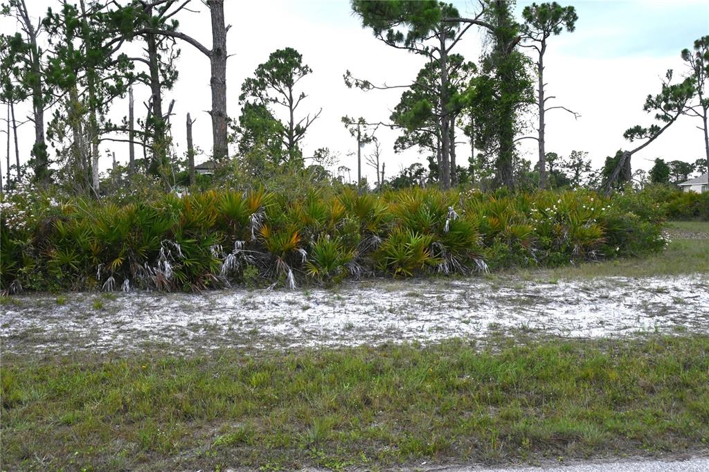 Property for sale at 16 COXSWAIN CIRCLE, PLACIDA, FL, 33946