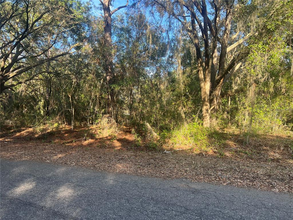 Property for sale at GUAVA TERRACE, OCKLAWAHA, FL, 32179