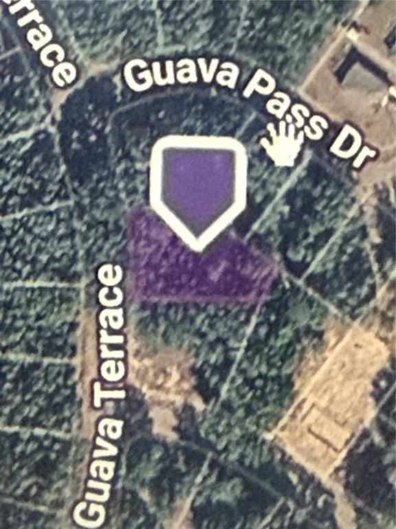 Property for sale at GUAVA TERRACE, OCKLAWAHA, FL, 32179