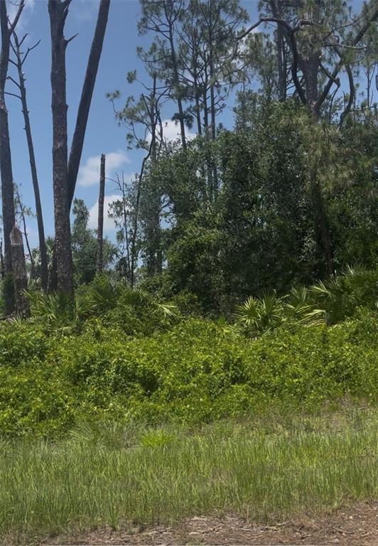 Property for sale at TEPEE AVENUE, NORTH PORT, FL, 34291