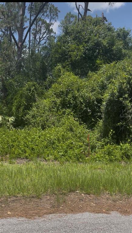 Property for sale at TEPEE AVENUE, NORTH PORT, FL, 34291