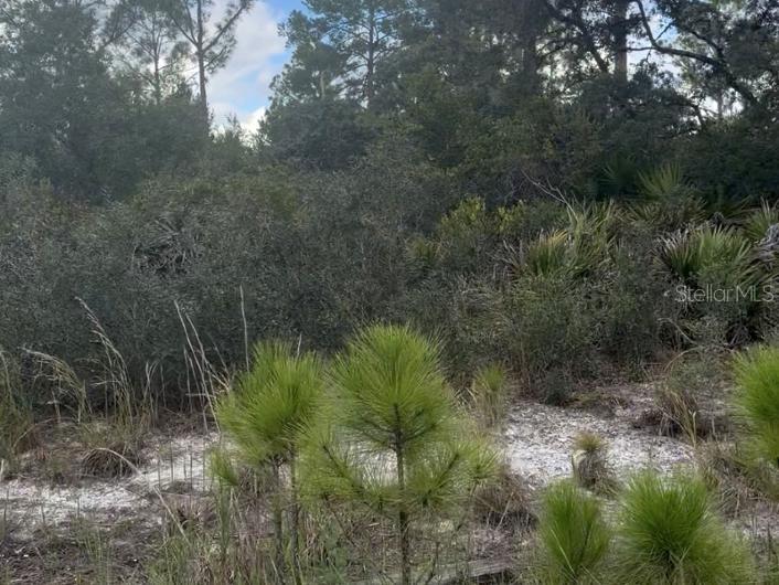 Property for sale at 3513 TURIN STREET, LAKE PLACID, FL, 33852