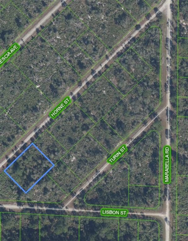 Property for sale at 3513 TURIN STREET, LAKE PLACID, FL, 33852