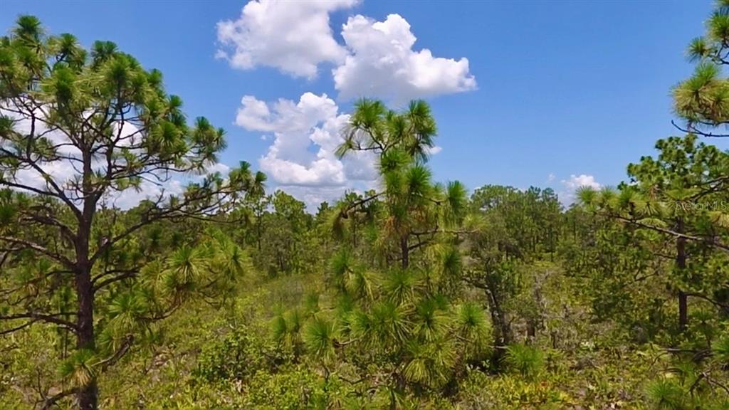 Property for sale at 113 BOUGAINVILLE DRIVE, INDIAN LAKE ESTATES, FL, 33855