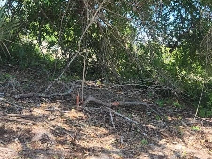Property for sale at 12323 CLARENDON AVENUE, PORT CHARLOTTE, FL, 33981