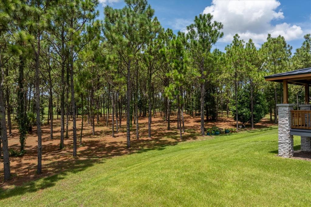 Property for sale at 5208 EFFIE DRIVE, APOPKA, FL, 32712