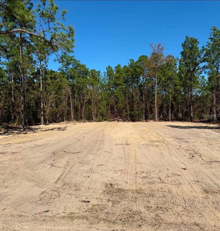 Property for sale at 13831 SW 89TH CIRCLE, OCALA, FL, 34473
