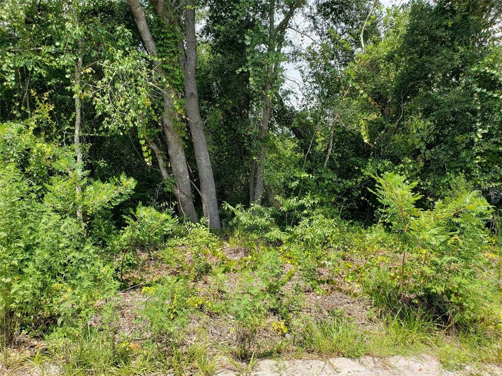 Property for sale at PINE VALLEY DRIVE, PAISLEY, FL, 32767