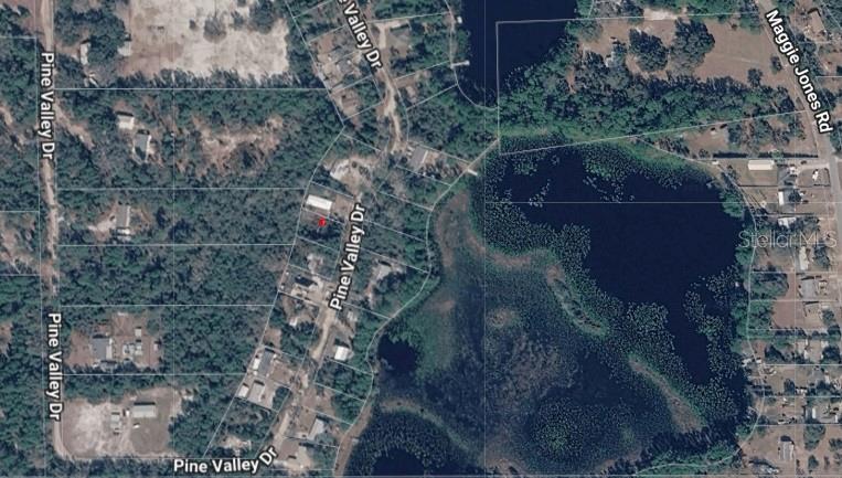 Property for sale at PINE VALLEY DRIVE, PAISLEY, FL, 32767