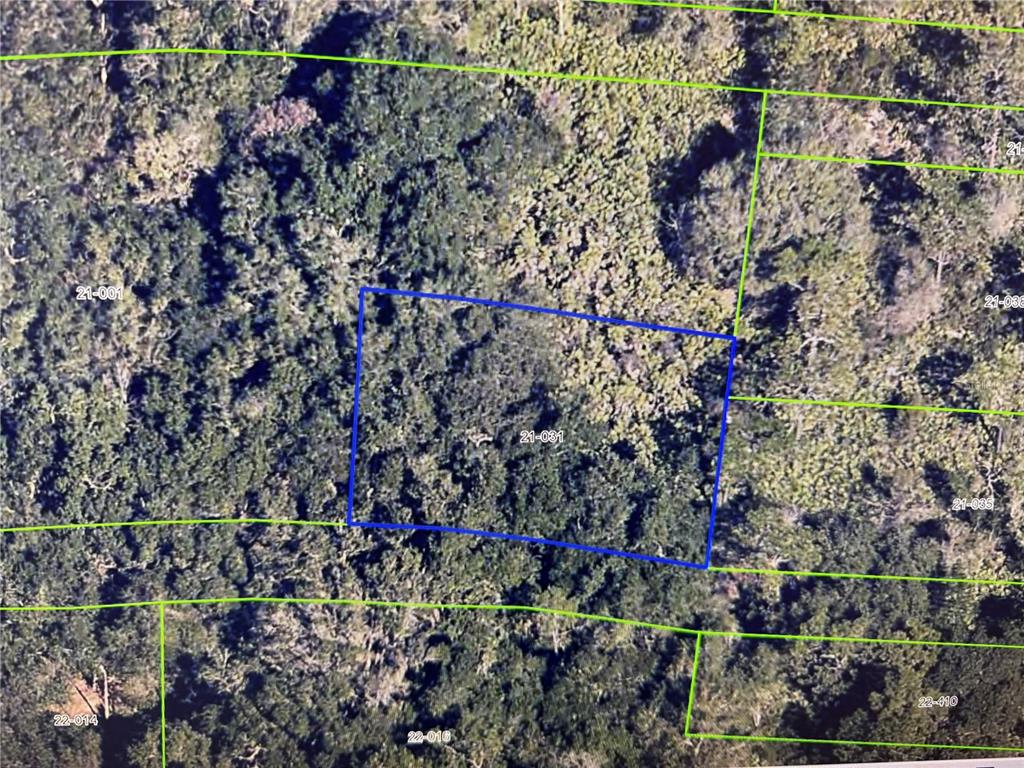Uncleared Lot