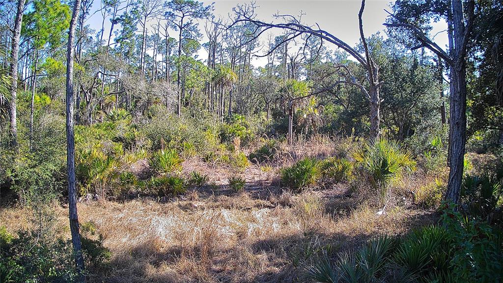 Property for sale at 13093 HARBISON AVENUE, PORT CHARLOTTE, FL, 33953