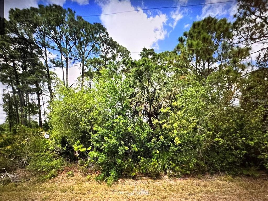 Property for sale at 18106 SICILY AVENUE, PORT CHARLOTTE, FL, 33948