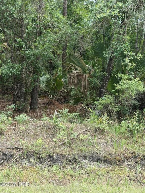 Property for sale at 00 NINEMILE POINT ROAD, PIERSON, FL, 32180