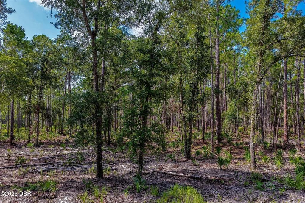 Property for sale at 00 NINEMILE POINT ROAD, PIERSON, FL, 32180