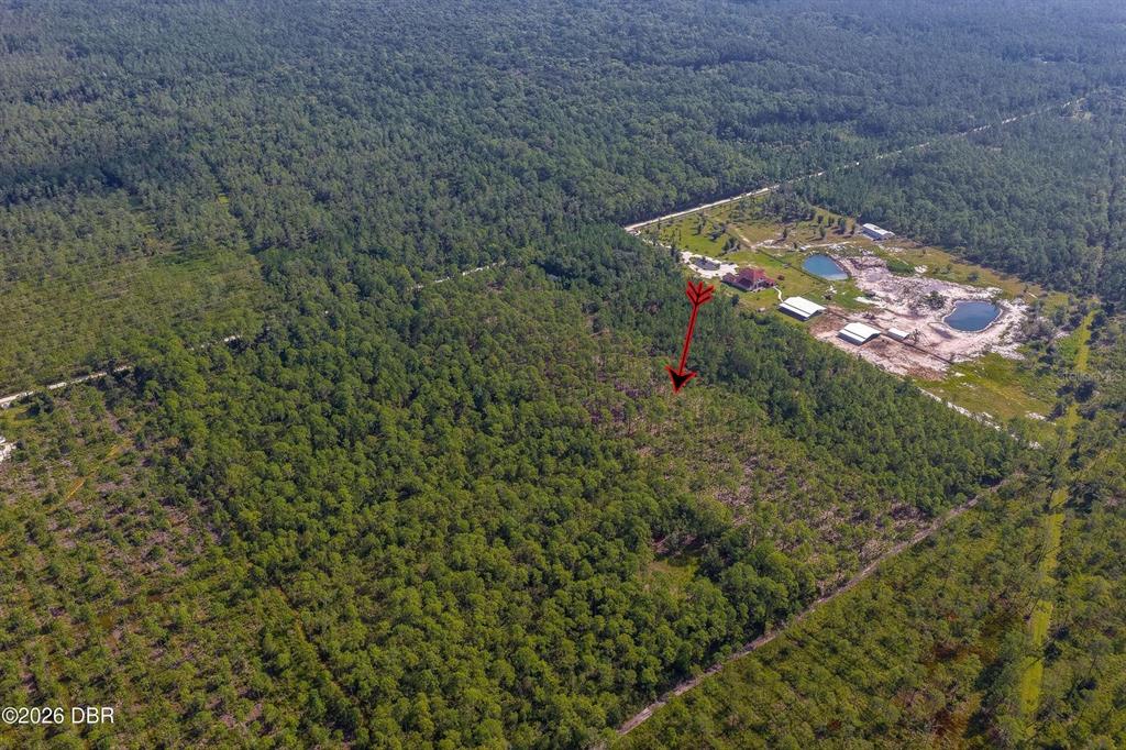 Property for sale at 00 NINEMILE POINT ROAD, PIERSON, FL, 32180