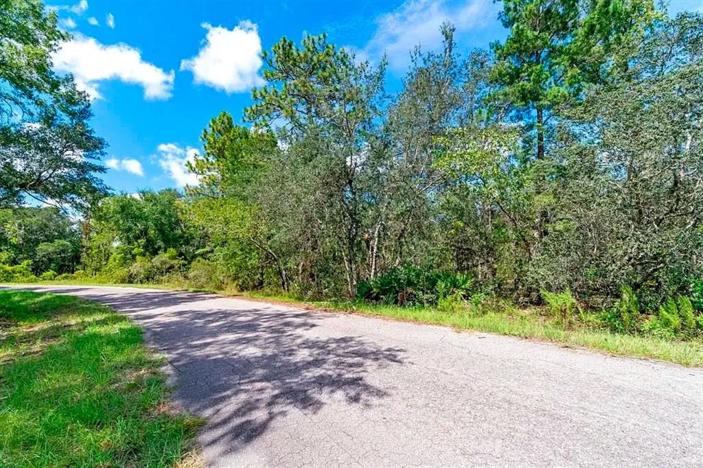 Property for sale at 76 FISHER RUN TERRACE, OCKLAWAHA, FL, 32179