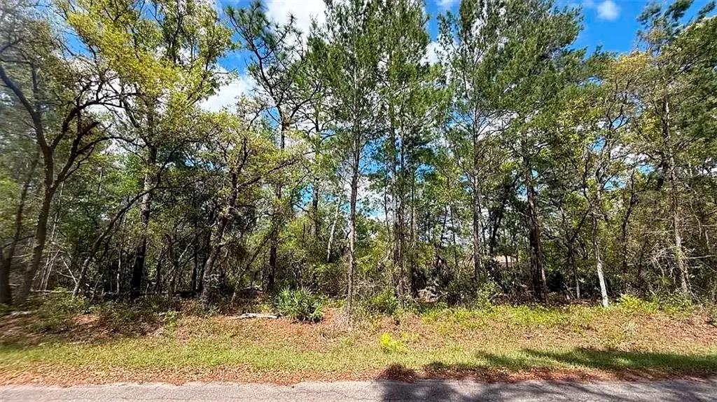 Property for sale at 76 FISHER RUN TERRACE, OCKLAWAHA, FL, 32179
