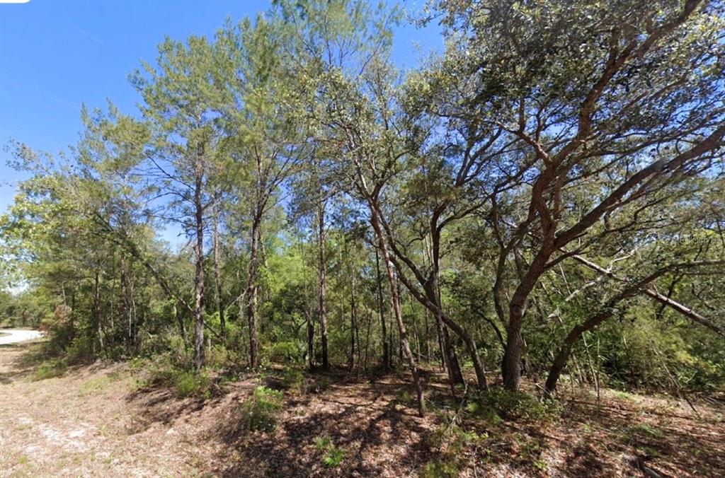 Property for sale at 76 FISHER RUN TERRACE, OCKLAWAHA, FL, 32179