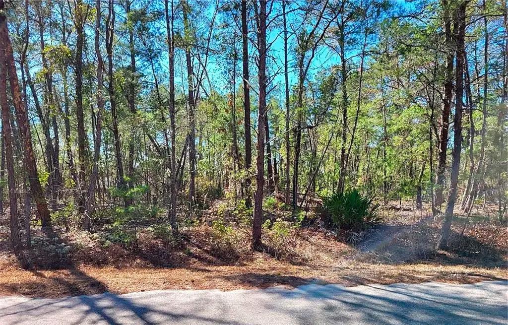 Property for sale at 76 FISHER RUN TERRACE, OCKLAWAHA, FL, 32179