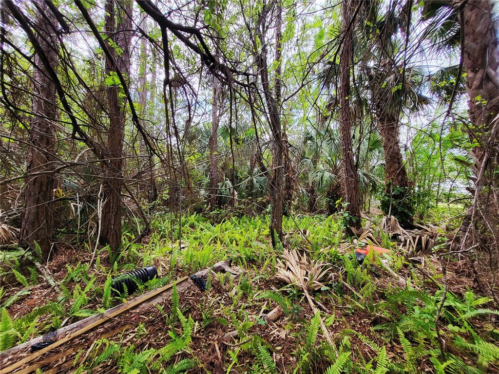 Property for sale at 1720 LANTANA COURT NW, PALM BAY, FL, 32907