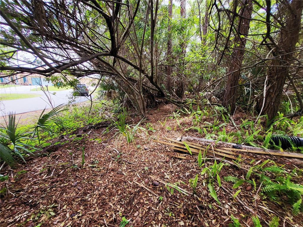 Property for sale at 1720 LANTANA COURT NW, PALM BAY, FL, 32907