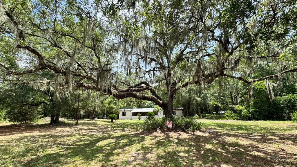 Property for sale at 11286 E HIGHWAY 25, BELLEVIEW, FL, 34420