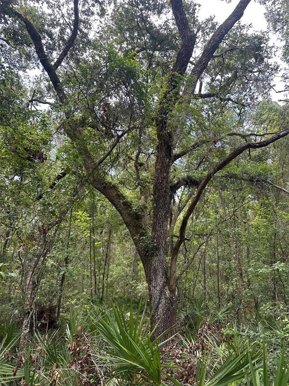 Property for sale at 0 EMERSON ROAD, BROOKSVILLE, FL, 34601