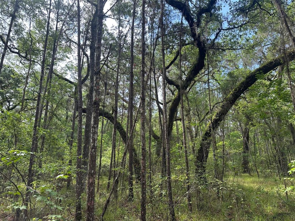 Property for sale at 0 EMERSON ROAD, BROOKSVILLE, FL, 34601