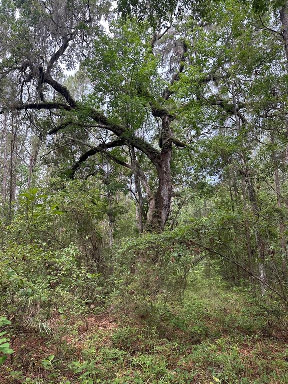 Property for sale at 0 EMERSON ROAD, BROOKSVILLE, FL, 34601