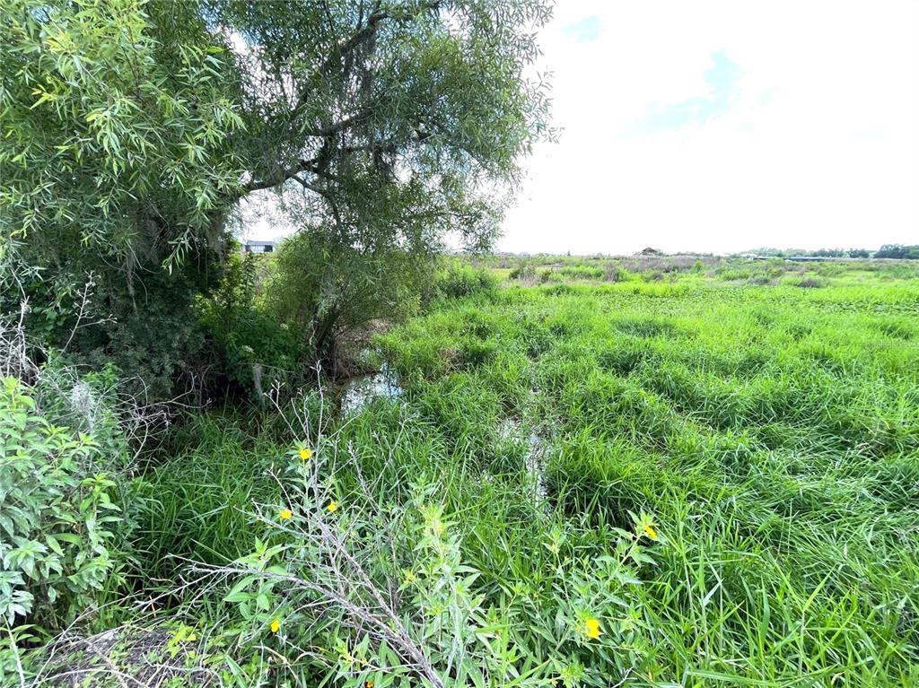 Property for sale at WAUCHULA ROAD, MYAKKA CITY, FL, 34251
