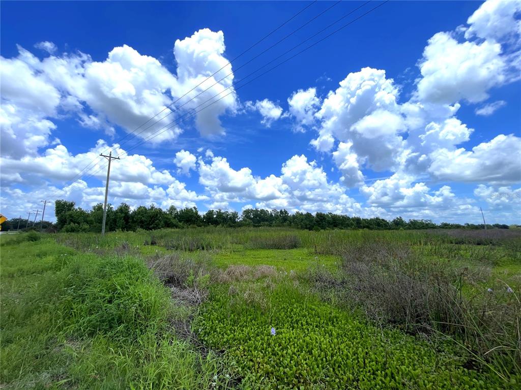 Property for sale at WAUCHULA ROAD, MYAKKA CITY, FL, 34251