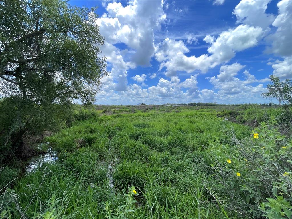 Property for sale at WAUCHULA ROAD, MYAKKA CITY, FL, 34251