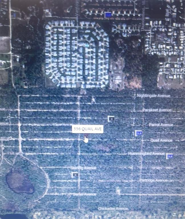 Property for sale at 556 QUAIL AVENUE, SEBRING, FL, 33870