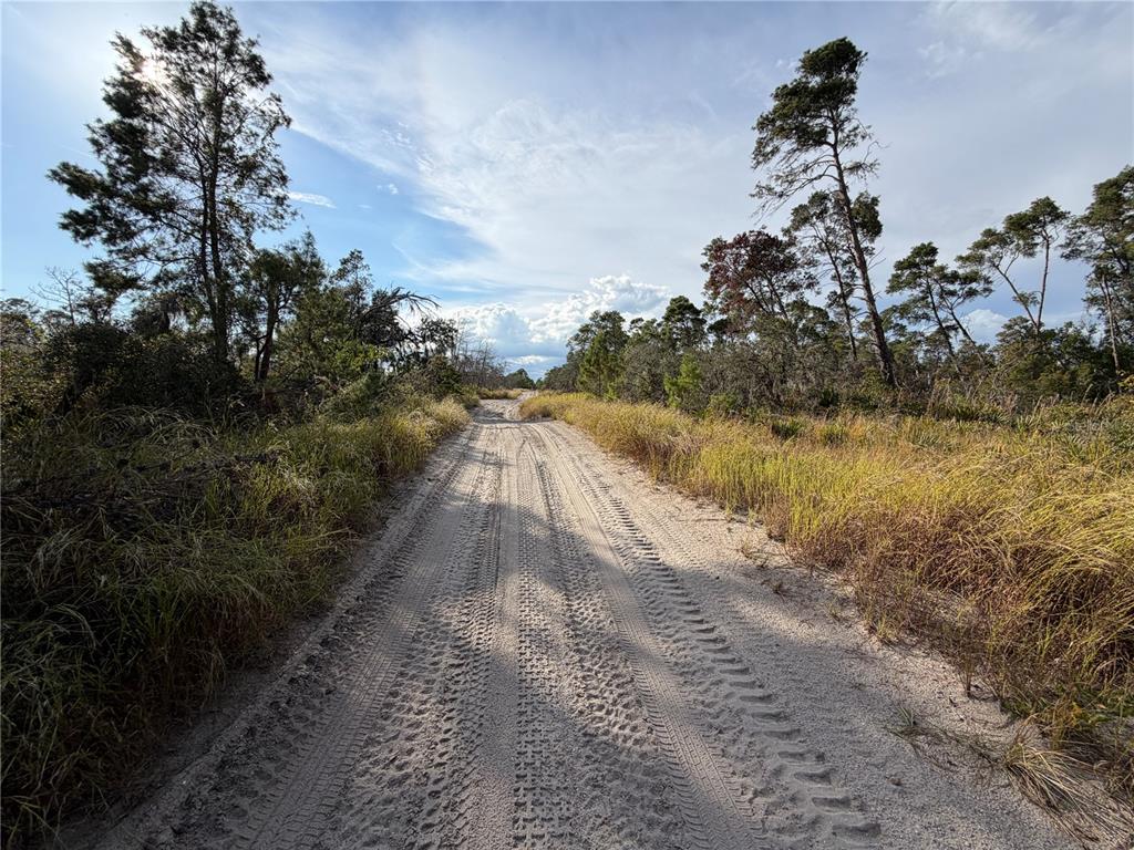Property for sale at 556 QUAIL AVENUE, SEBRING, FL, 33870