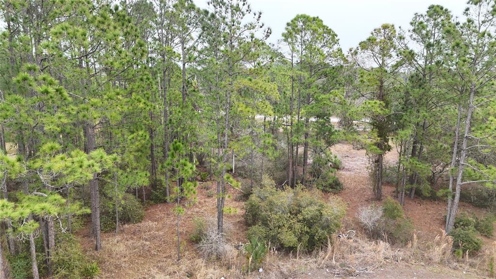 Property for sale at 1256 WAHNETA DRIVE, KISSIMMEE, FL, 34759