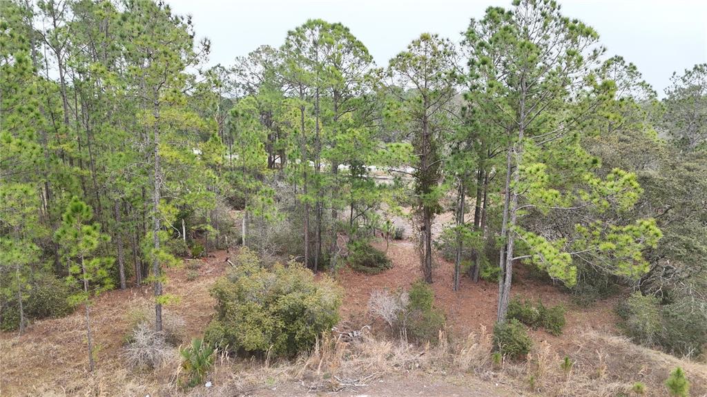 Property for sale at 1256 WAHNETA DRIVE, KISSIMMEE, FL, 34759