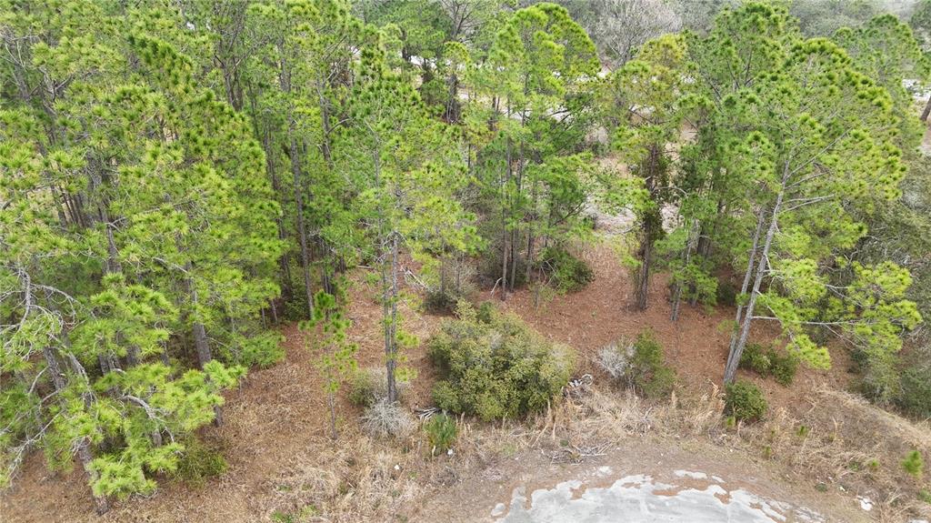 Property for sale at 1256 WAHNETA DRIVE, KISSIMMEE, FL, 34759
