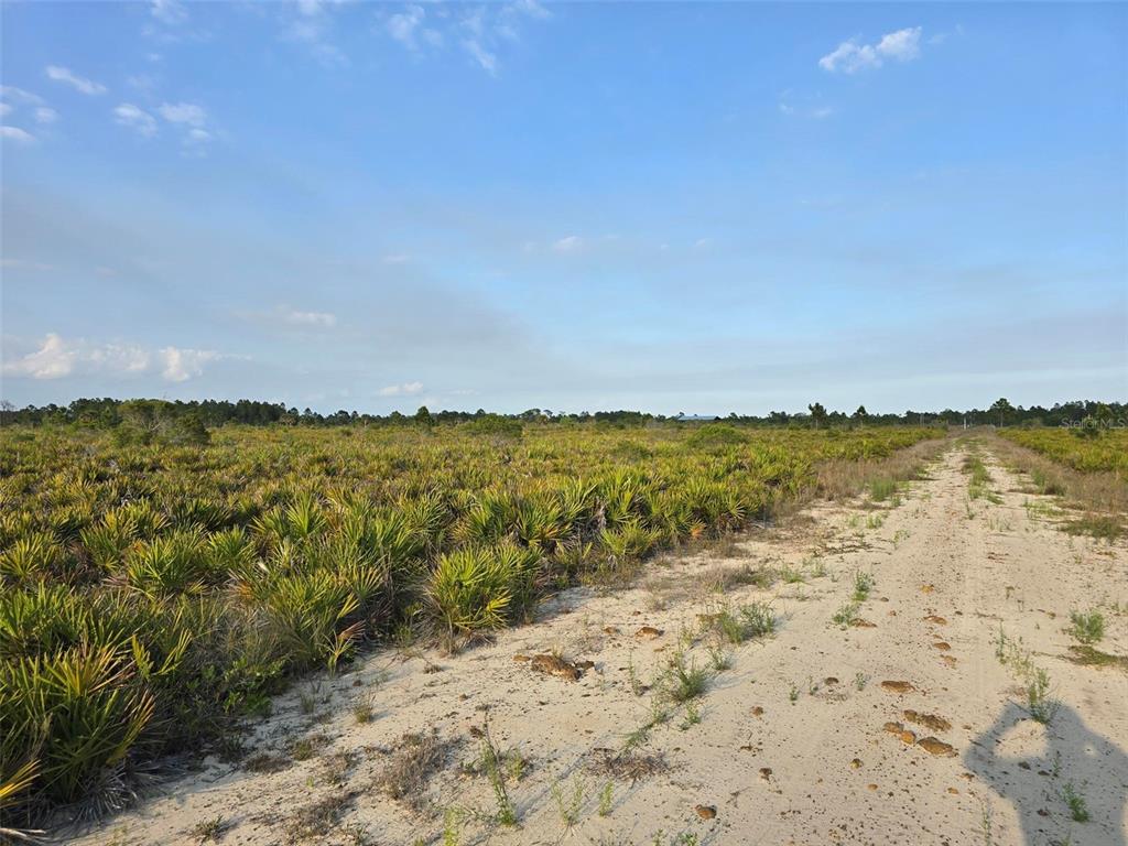 Property for sale at 49173 BERMONT ROAD, PUNTA GORDA, FL, 33982