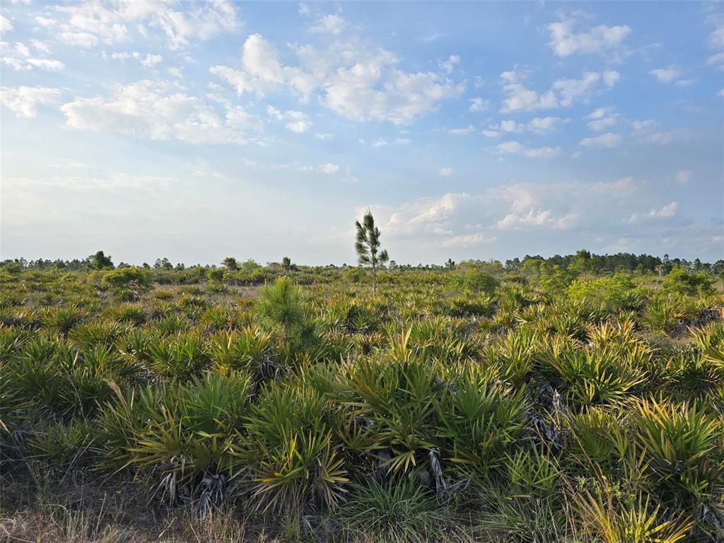 Property for sale at 49173 BERMONT ROAD, PUNTA GORDA, FL, 33982