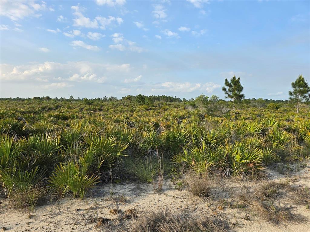 Property for sale at 49173 BERMONT ROAD, PUNTA GORDA, FL, 33982