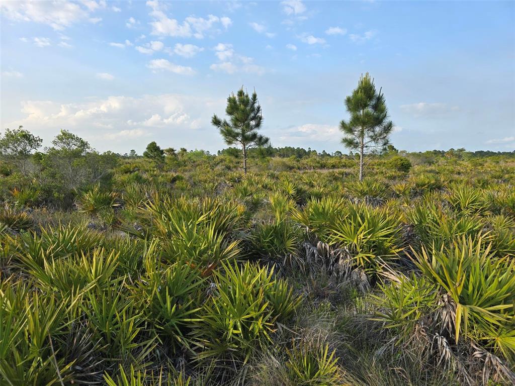 Property for sale at 49173 BERMONT ROAD, PUNTA GORDA, FL, 33982