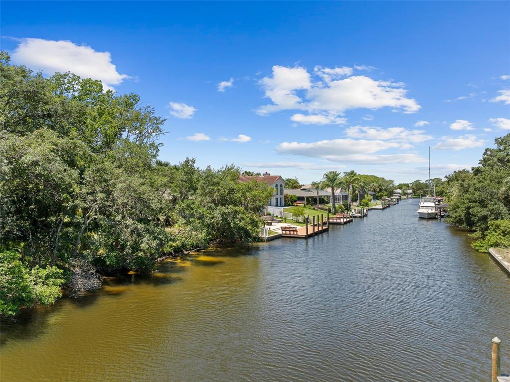 Property for sale at 111 CIMMARON DRIVE, PALM COAST, FL, 32137