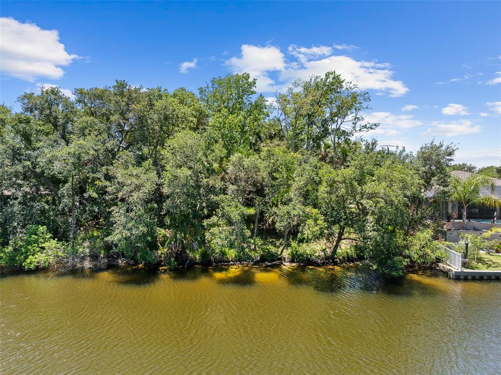 Property for sale at 111 CIMMARON DRIVE, PALM COAST, FL, 32137