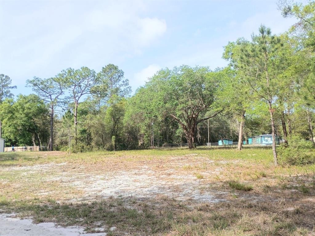 Property for sale at NE 141ST CT, FORT MC COY, FL, 32134
