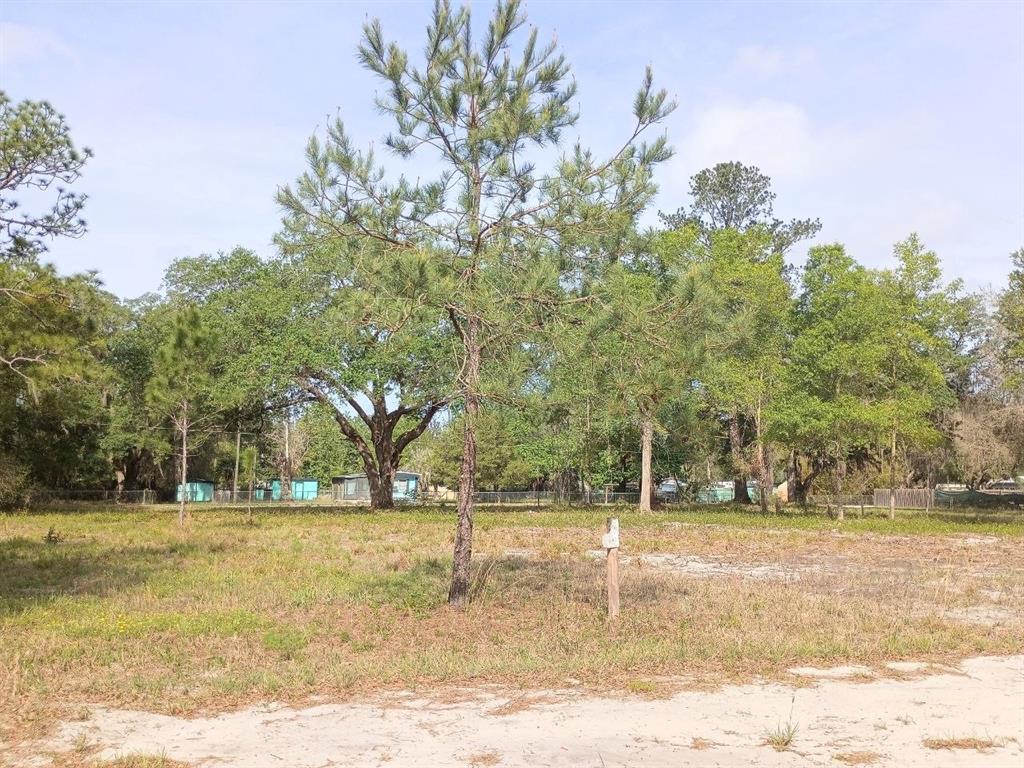 Property for sale at NE 141ST CT, FORT MC COY, FL, 32134