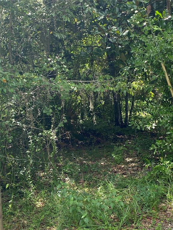 Property for sale at CR 448C, LAKE PANASOFFKEE, FL, 33538