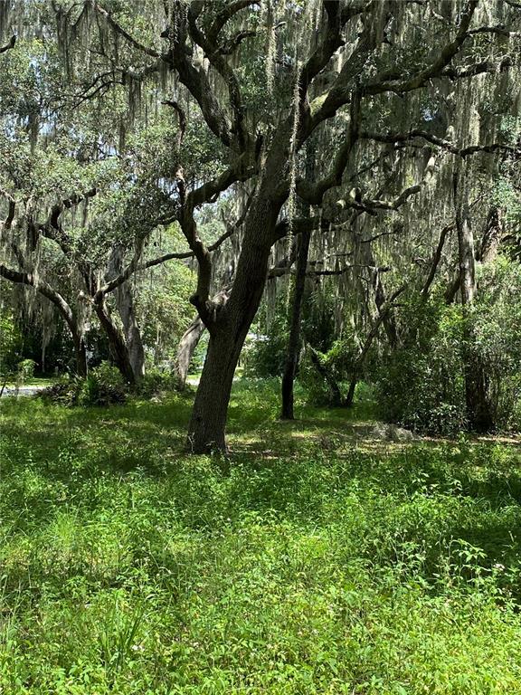 Property for sale at CR 448C, LAKE PANASOFFKEE, FL, 33538