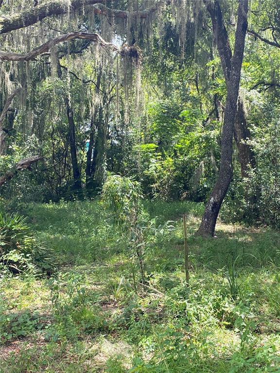 Property for sale at CR 448C, LAKE PANASOFFKEE, FL, 33538