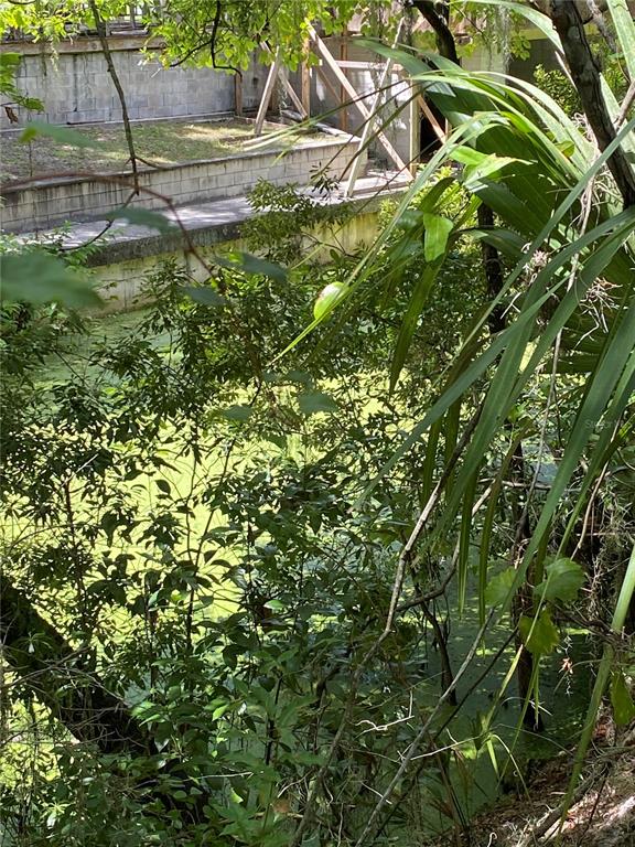 Property for sale at CR 448C, LAKE PANASOFFKEE, FL, 33538
